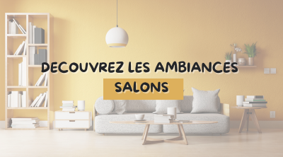 ambiance deco peinture salon